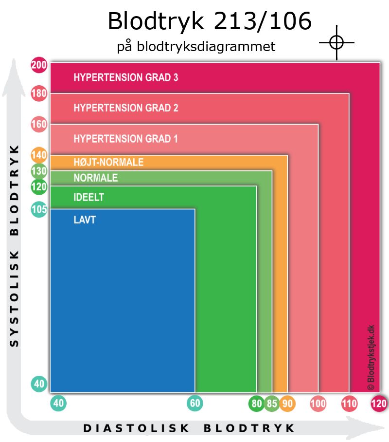 Blodtryk 213 over 106 i blodtryksdiagram