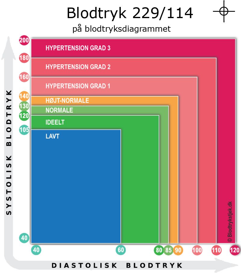 Blodtryk 229 over 114 i blodtryksdiagram